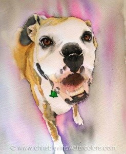 Paint Your Pet Watercolor Workshop with Chris Blevins 